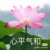 夏奶奶