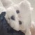 万能角色