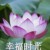 老郭（數(shù)學(xué)老師）