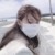 半夏