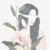 无忧（殇）（蒙眼）