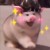 作者