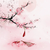 万能龙套