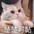 万能人物