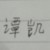 谭凯