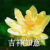 作者