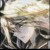 伊莱克斯