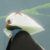 菇崽
