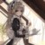 女仆A