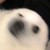 八两