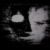 scp079
