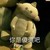 炮灰丙