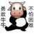 吃瓜牛牛