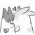 作者:葵司