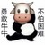 飞哥系统