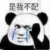 沈