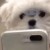 我