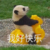 粉丝