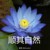 班主任（余總）