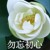 陈光