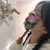 陈菲