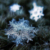 我（小雪）