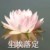 万能人物2