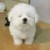 川野辞一（作者）
