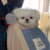 谷绿
