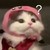 萬能人