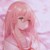 含双芝