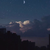 安慶陽