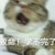 全班同学