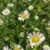 春夏（紀(jì)言逸媽媽?zhuān)?/>
                                <p>春夏（紀(jì)言逸媽媽?zhuān)?/p>
                            </a>
                        </div>
                    <a href=
