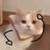 向錢看向厚賺