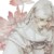 玉川