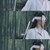 晓星尘