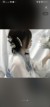 作者:鞔甜