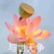 叶正华