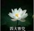 王一博妈妈