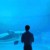 水族館少年