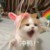 李霏婷