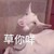 万能龙套D