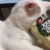 同学C
