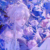 花枂