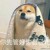 龙套