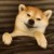 狗系统