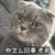 校医