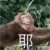 系统