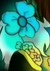 回音花